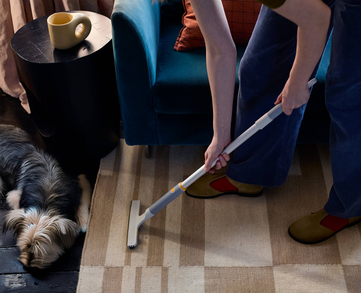 Furlune Pet Hair & Carpet Cleaning Set