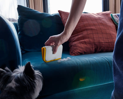 Furlune Pet Hair & Carpet Cleaning Set